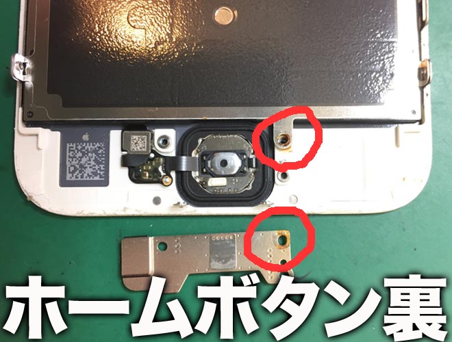 水没実例のご紹介 Iphone修理のダイワン