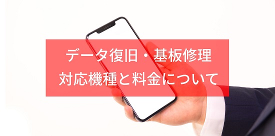 データ復旧（取り出し）